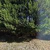 Mobile Home for Sale: 1998 Mobile Home