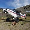 Aircraft for Sale: 1957 PIPER SUPER CUB
