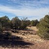 Photo of Mobile Home Lot