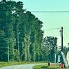 Mobile Home for Rent: 3 Bed 2 Bath 1997 Mobile Home