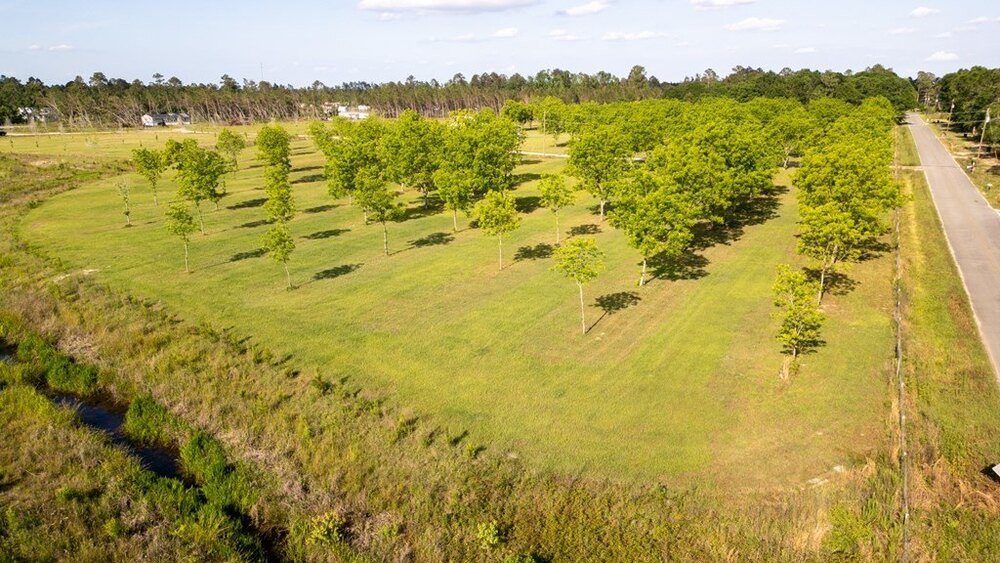 Photo of Mobile Home Lot