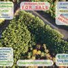 RV Lot for Sale: PRIVACY!! PRIVACY!! PRIVACY!! , Linden, TN