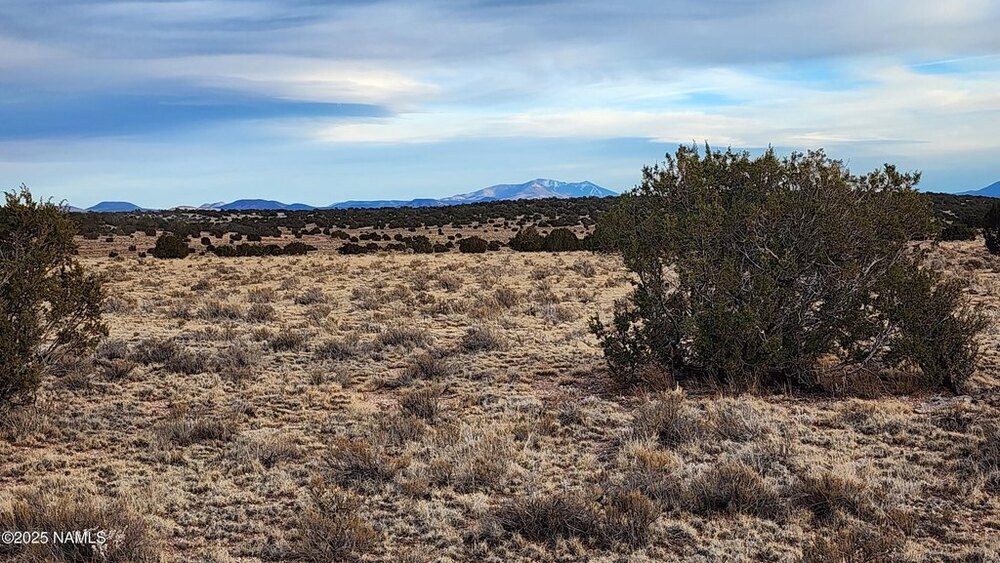 Photo of Mobile Home Lot
