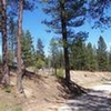 Photo of Mobile Home Lot