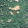 Mobile Home for Sale: 3 Bed 2 Bath 1992 Mobile Home