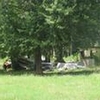 Mobile Home Lot for Sale: 0.35 acre Lot
