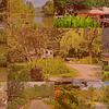RV Park for Sale: Western North Carolina Campground for Sale, , NC