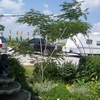 Photo of RV Park/Campground