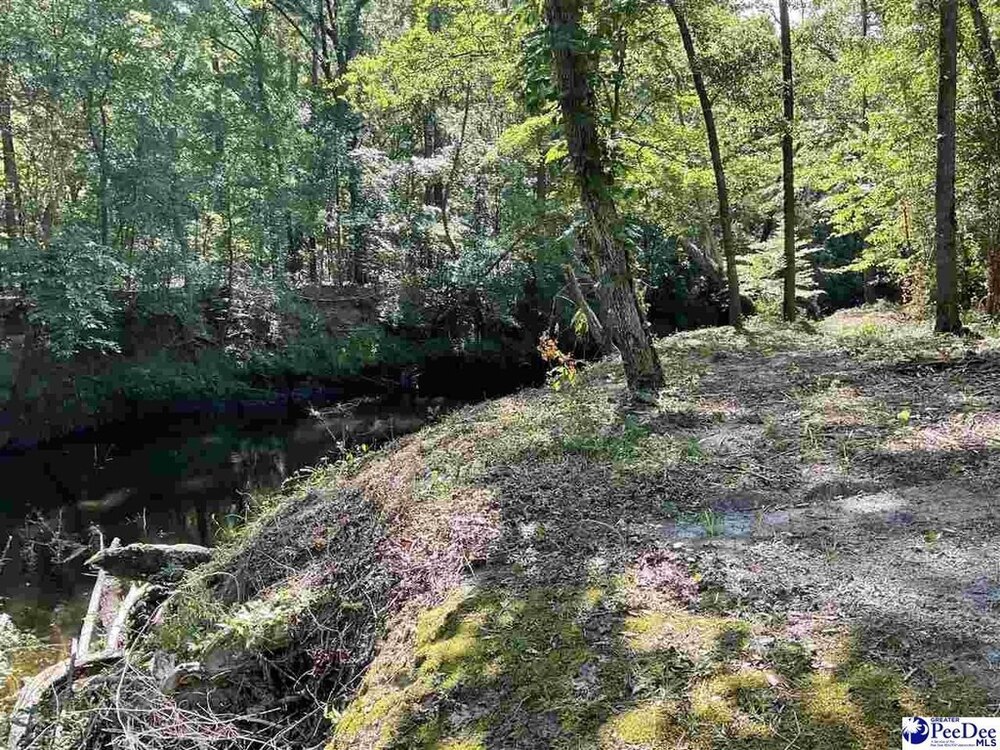 Photo of Mobile Home Lot