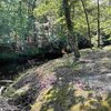 Photo of Mobile Home Lot