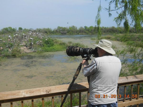 birding