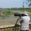 birding