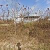 Mobile Home for Sale: 1966 Mobile Home