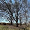 Photo of Mobile Home Lot