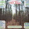 RV Lot for Sale: RV/Barndo Property - 9 acres - Middle TN, Linden, TN