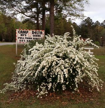Photo of Sign