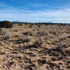 Photo of Mobile Home Lot