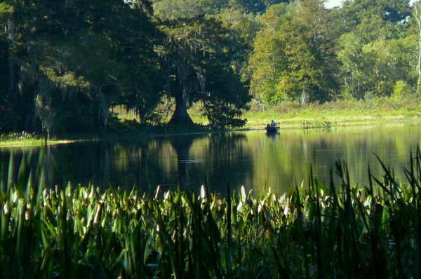 Fishing on the Withlacoochee