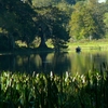 Fishing on the Withlacoochee