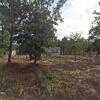 Mobile Home for Sale: 3 Bed 2 Bath 2001 Mobile Home