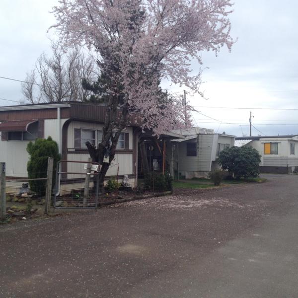 Photo of Mobile Home Park