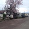 Photo of Mobile Home Park