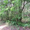 Photo of Mobile Home Lot