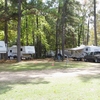 RV Park: Woodsy Hollow Campground & RV Resort, Goodrich, TX