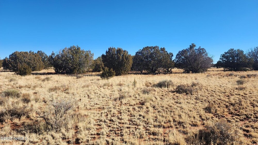 Photo of Mobile Home Lot