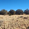 Photo of Mobile Home Lot