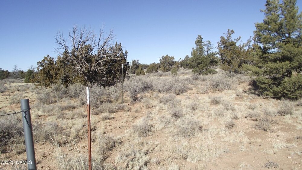 Photo of Mobile Home Lot