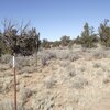Photo of Mobile Home Lot