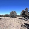 Photo of Mobile Home Lot
