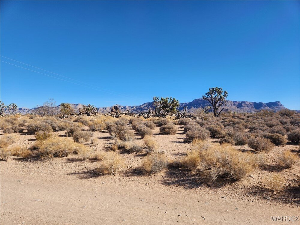Photo of Mobile Home Lot
