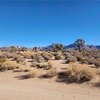 Photo of Mobile Home Lot