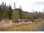 Photo of Mobile Home Lot