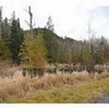 Photo of Mobile Home Lot
