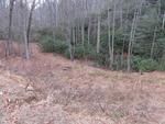 Photo of Mobile Home Lot