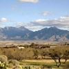 Mobile Home Lot for Sale: Southern Arizona Manufactured Home Lot - 55+, Green Valley, AZ