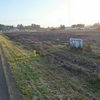 View looking south.