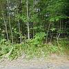 Mobile Home for Sale: 2 Bed 1 Bath 1982 Mobile Home