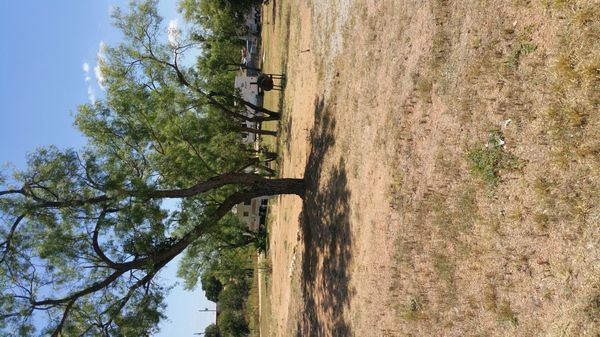 Photo of RV Lot