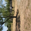 RV Lot for Rent: Large Lots for rent , Kingsland, TX