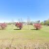 Mobile Home for Sale: 2003 Mobile Home