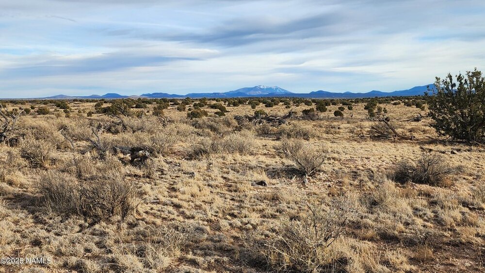 Photo of Mobile Home Lot