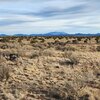 Photo of Mobile Home Lot