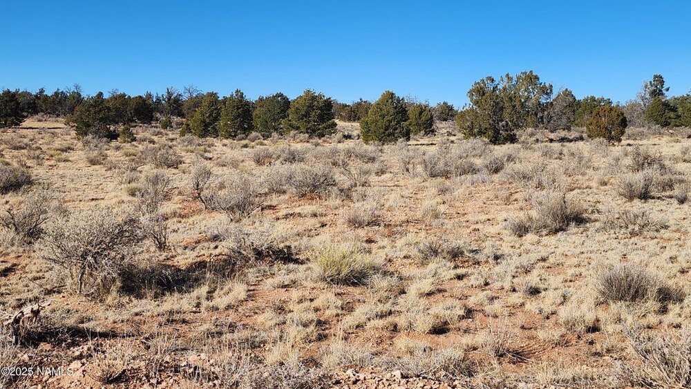Photo of Mobile Home Lot