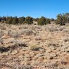 Photo of Mobile Home Lot