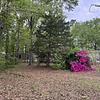 Mobile Home Lot for Sale: Almost 3 Acres Backing up to Pond - 2 MH Sites, Gaston, SC