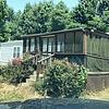 Mobile Home for Sale: MS, VAUGHAN - 2017 CELEBRATION single section for sale., Vaughan, MS